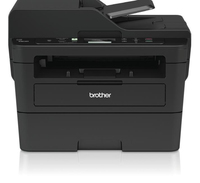 DCP-L2550DN
