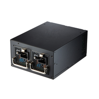 PPA5008601