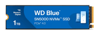 WDS100T4B0E