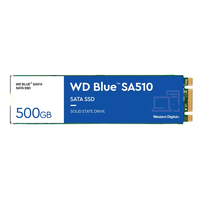 REL-WDS500G3B0B