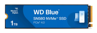 WDS100T3B0E